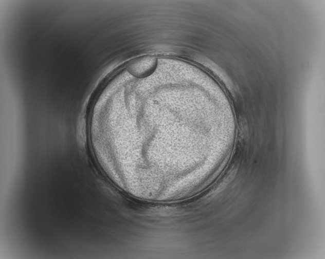 X0000101711075200807311447