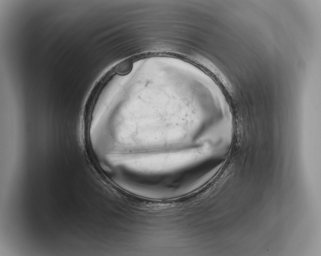 X0000101711076200807311447