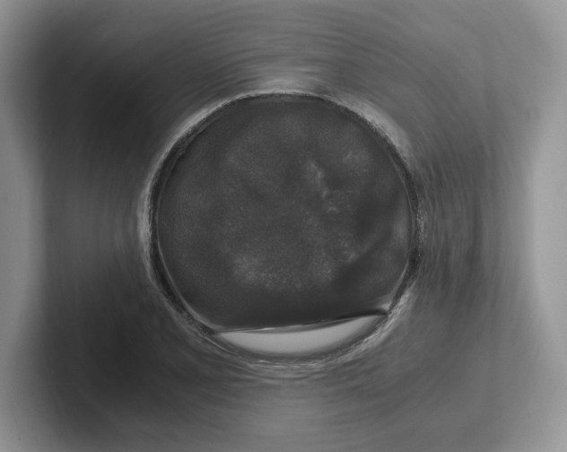 X0000101711077200807311447