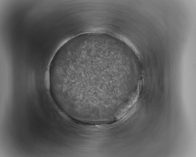 X0000101711079200807311447