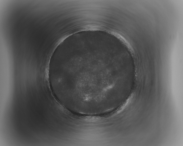 X0000101711081200807311447