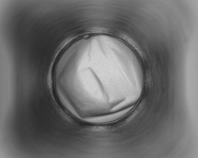 X0000101711082200807311447