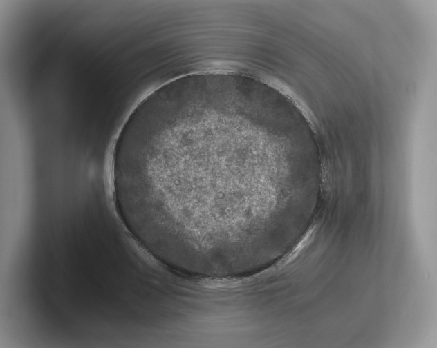 X0000101711083200807311447