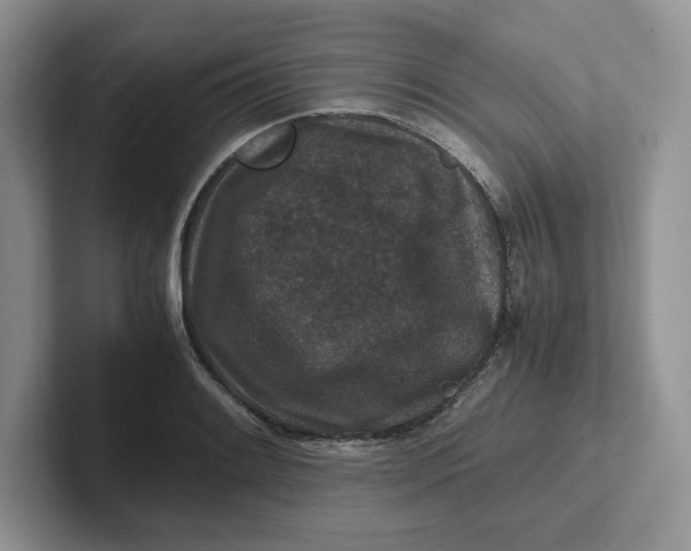 X0000101711084200807311447