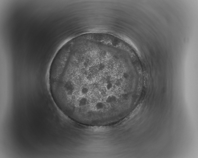 X0000101711087200807311447