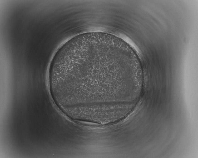 X0000101711088200807311447