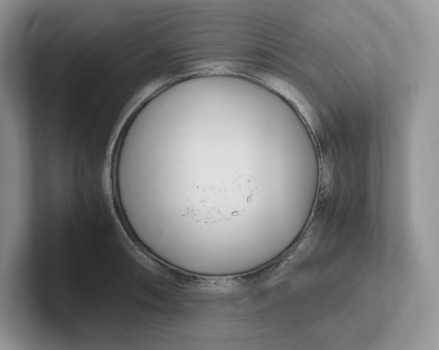 X0000101711090200807311447