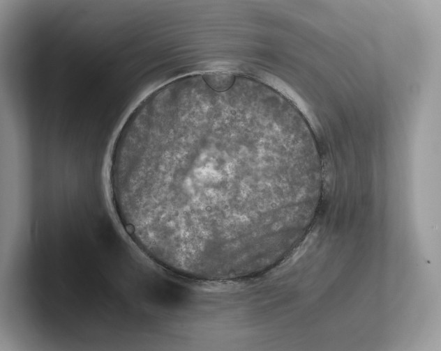 X0000101711091200807311447