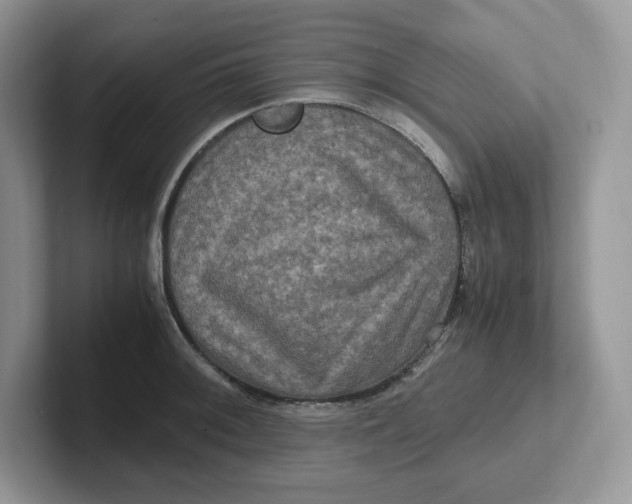 X0000101711092200807311447