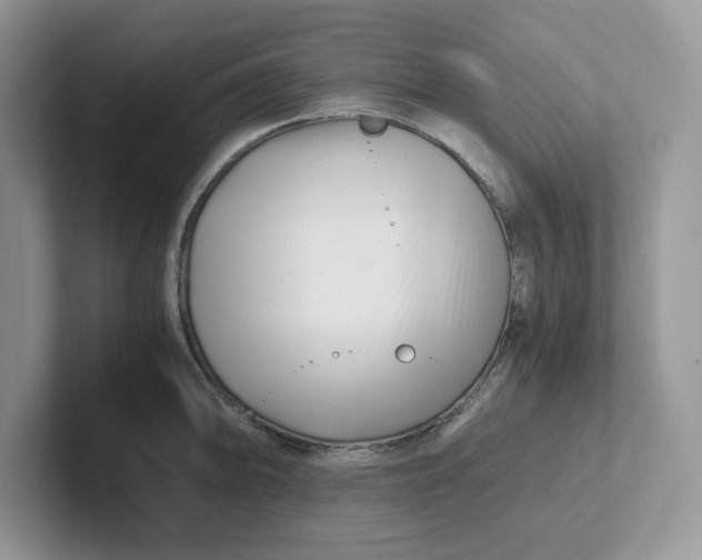 X0000101711094200807311447