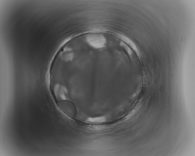 X0000101711095200807311447