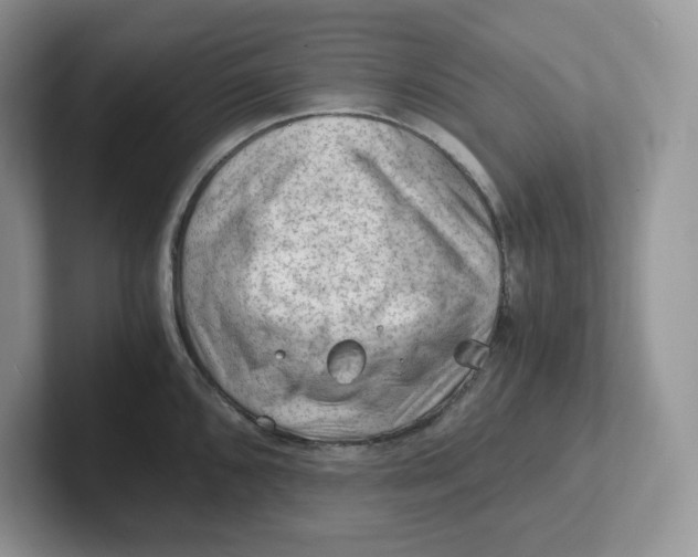 X0000101711096200807311447