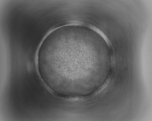 X0000101711099200807311447