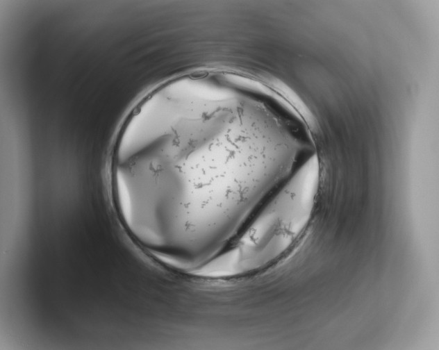 X0000101711100200807311447