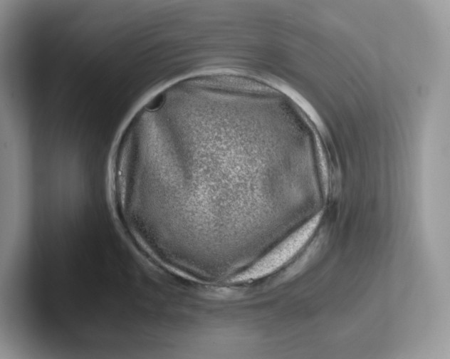 X0000101711101200807311447