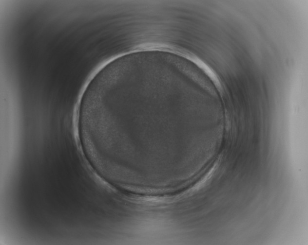 X0000101711102200807311447