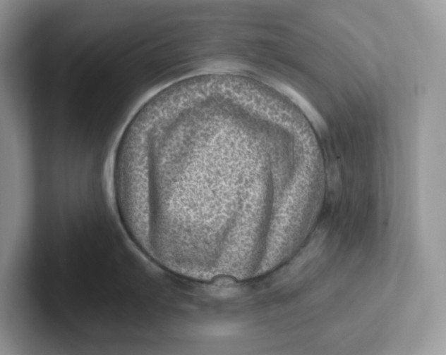 X0000101711103200807311447