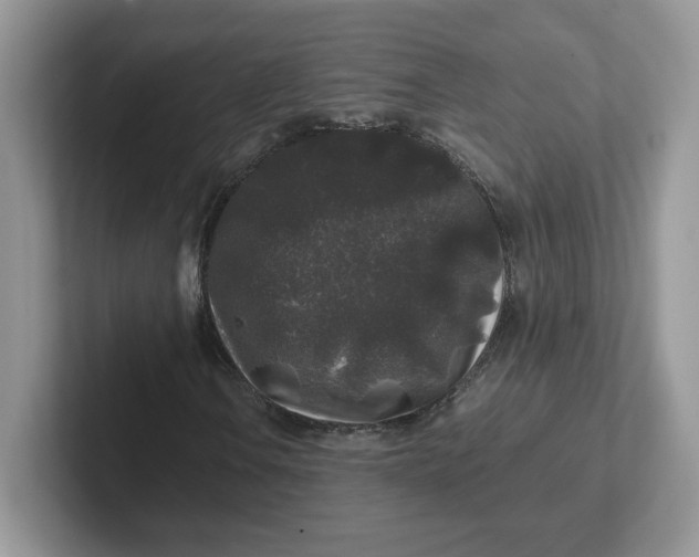 X0000101711106200807311446