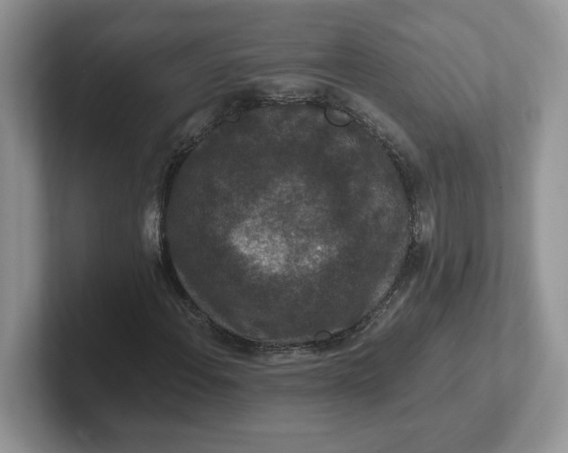 X0000101711108200807311446