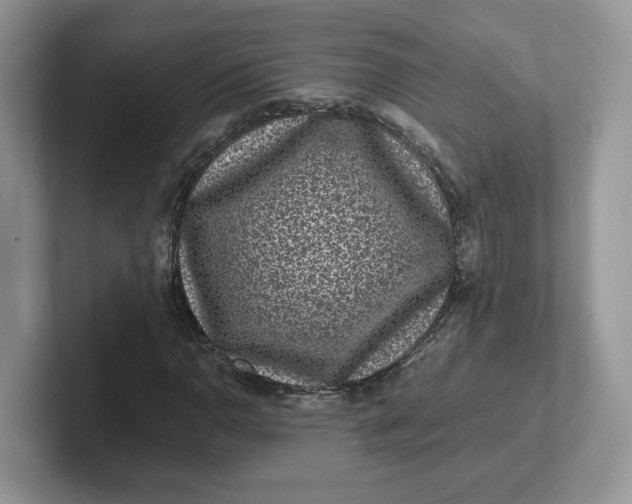 X0000101711110200807311446