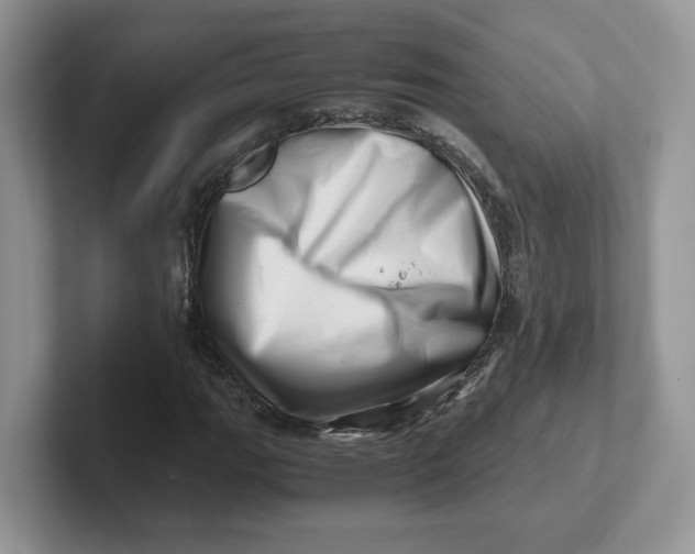 X0000101711111200807311446