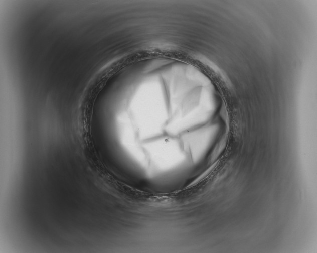 X0000101711112200807311446