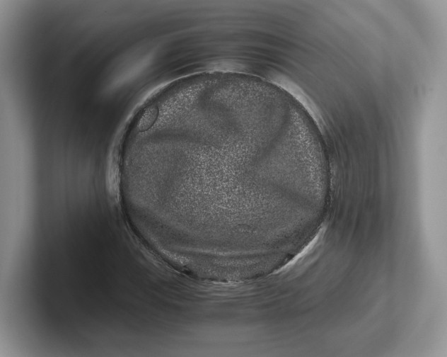 X0000101711115200807311446