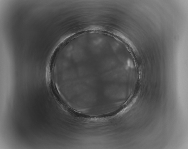 X0000101711117200807311446