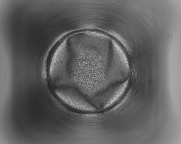 X0000101711118200807311446