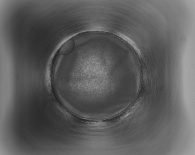 X0000101711120200807311446