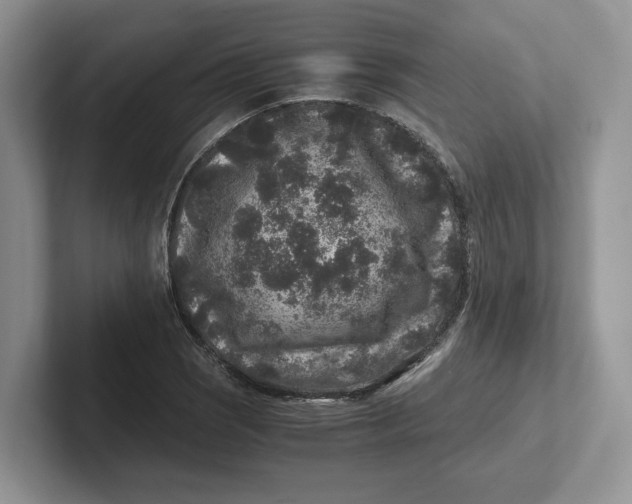 X0000101711121200807311446