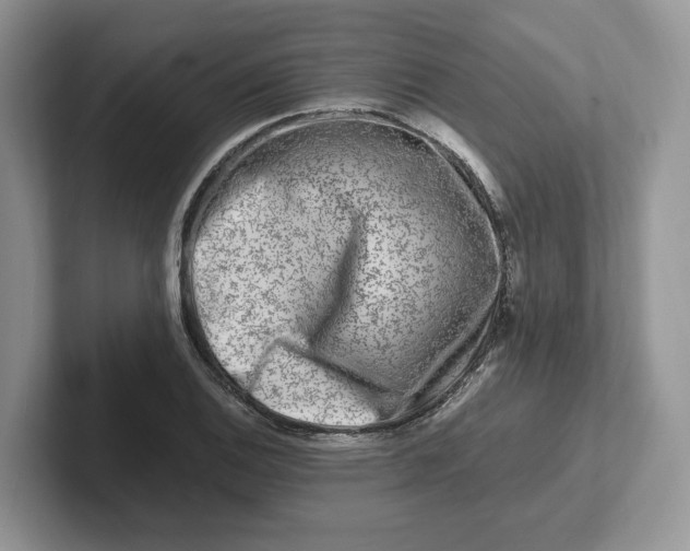 X0000101711124200807311446