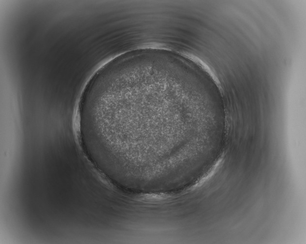 X0000101711125200807311446