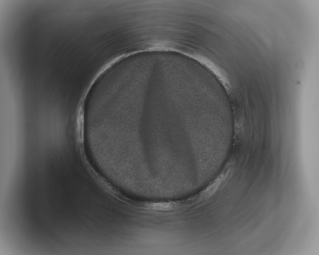 X0000101711126200807311446