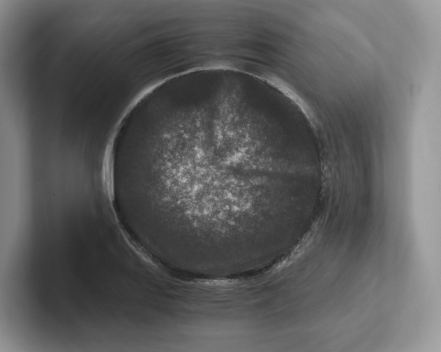 X0000101711127200807311446