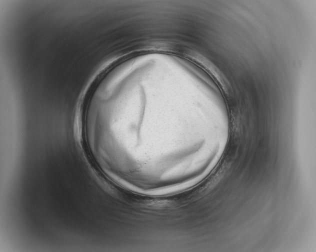 X0000101711131200807311446