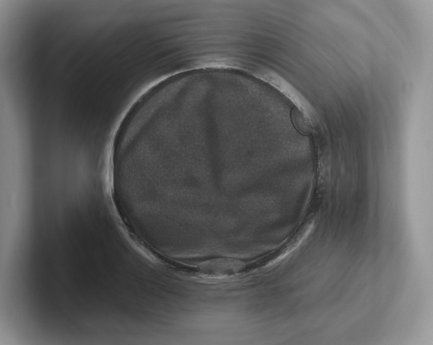 X0000101711132200807311446