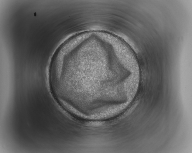 X0000101711134200807311446