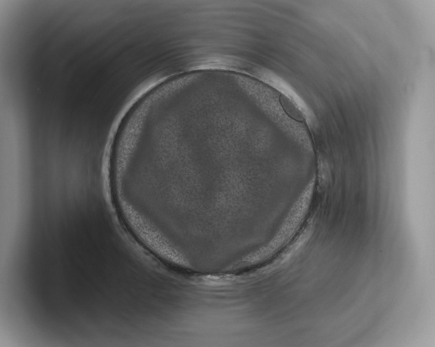 X0000101711138200807311446