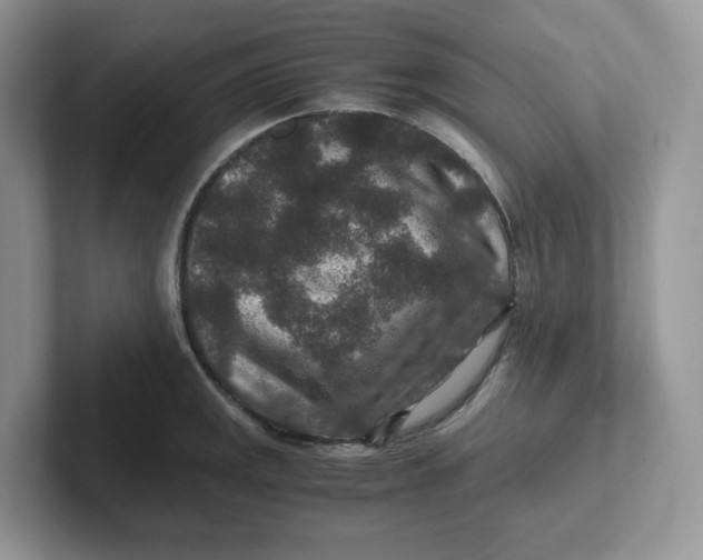 X0000101711141200807311446