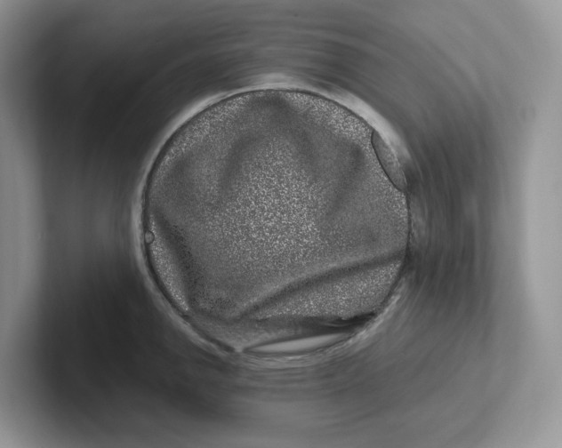 X0000101711142200807311446