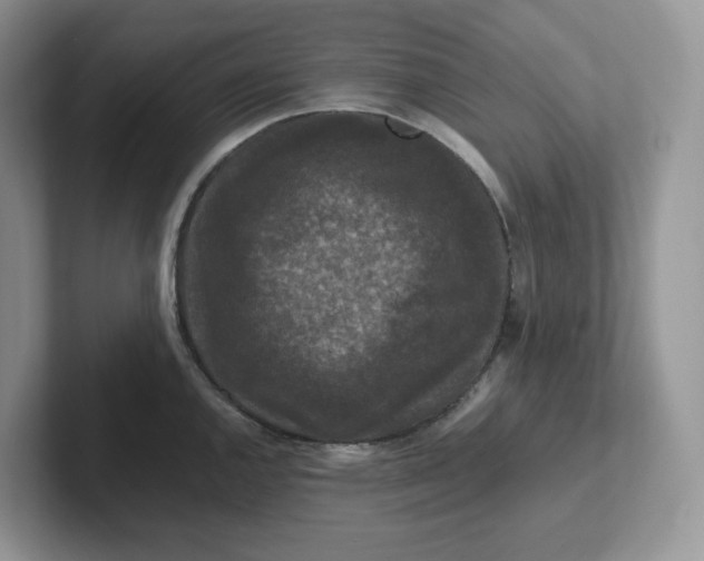 X0000101711144200807311447