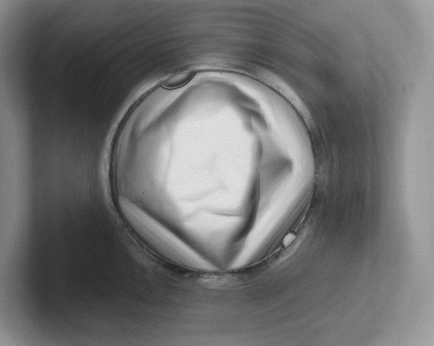 X0000101711146200807311447