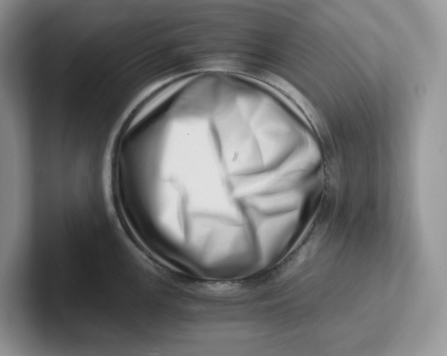 X0000101711147200807311447