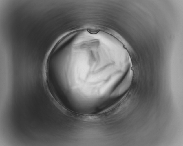 X0000101711148200807311447