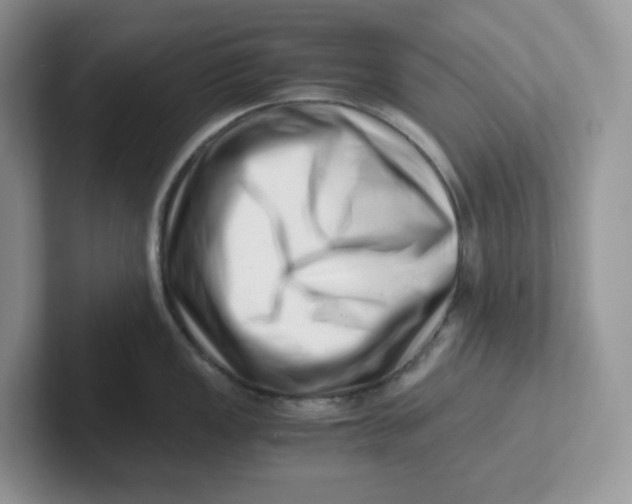 X0000101711149200807311447