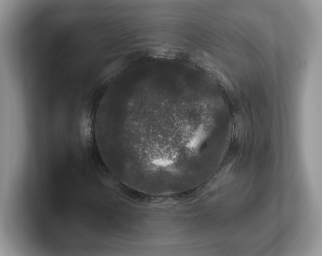 X0000101711154200807311446