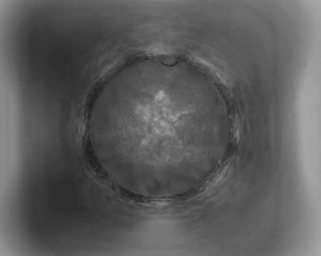 X0000101711157200807311446