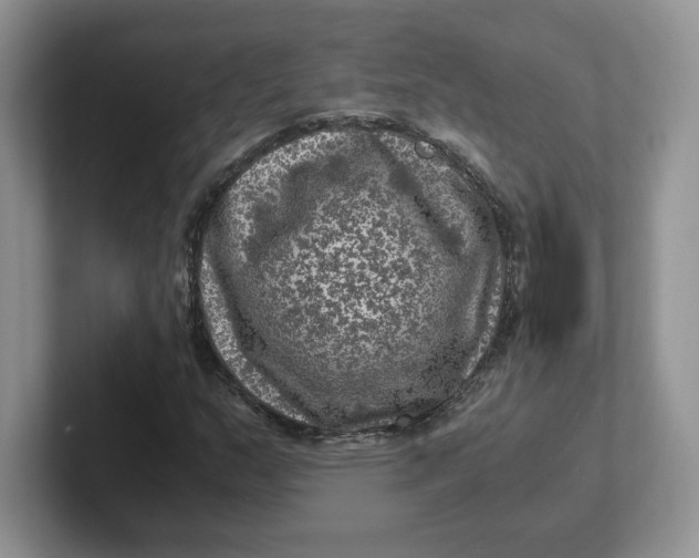 X0000101711159200807311446