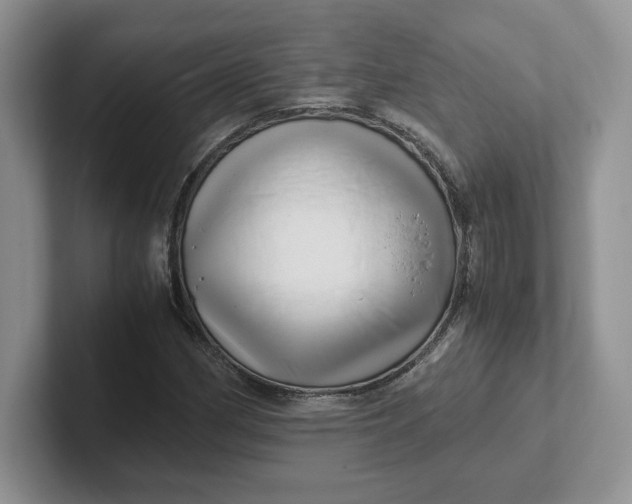 X0000101711162200807311446